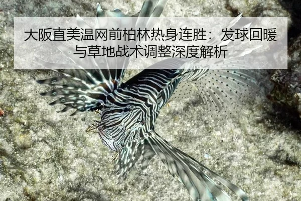 da-ban-zhi-mei-wen-wang-qian-bo-lin-re-shen-lian-sheng-fa-qiu-hui-nuan-yu-cao-di-zhan-shu-tiao-zheng-shen-du-jie-xi-2-985.jpg
