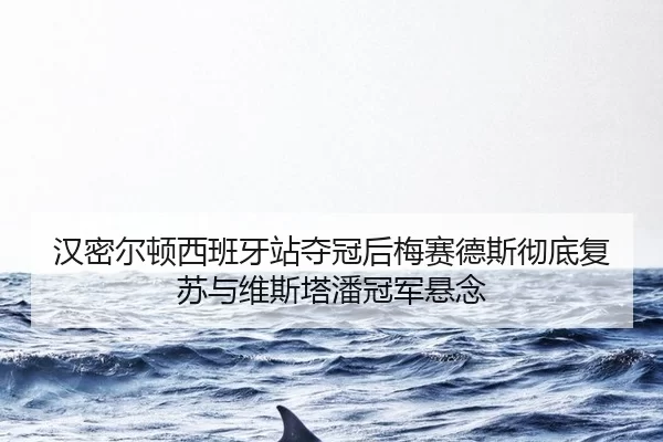han-mi-er-dun-xi-ban-ya-zhan-duo-guan-hou-mei-sai-de-si-che-di-fu-su-yu-wei-si-ta-pan-guan-jun-xuan-nian-2-490.jpg