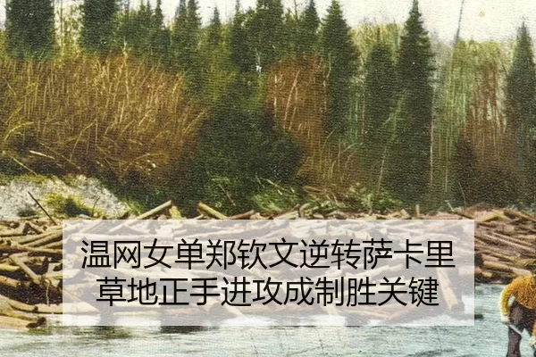 wen-wang-nv-dan-zheng-qin-wen-ni-zhuan-sa-ka-li-cao-di-zheng-shou-jin-gong-cheng-zhi-sheng-guan-jian-2-742.jpg
