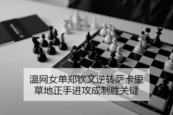 wen-wang-nv-dan-zheng-qin-wen-ni-zhuan-sa-ka-li-cao-di-zheng-shou-jin-gong-cheng-zhi-sheng-guan-jian-3-369.jpg