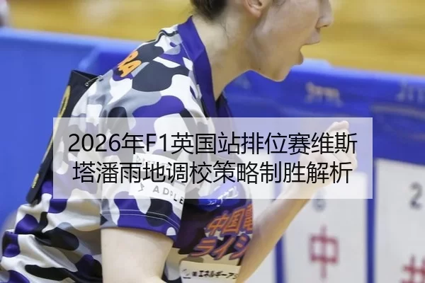 nian-ying-guo-zhan-pai-wei-sai-wei-si-ta-pan-yu-di-diao-xiao-ce-lve-zhi-sheng-jie-xi-3-197.jpg